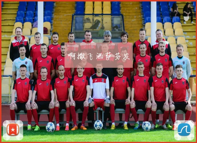 中超投票怎么投：球迷投票规则与体育新闻事件解读影响赛程排名与参赛资格