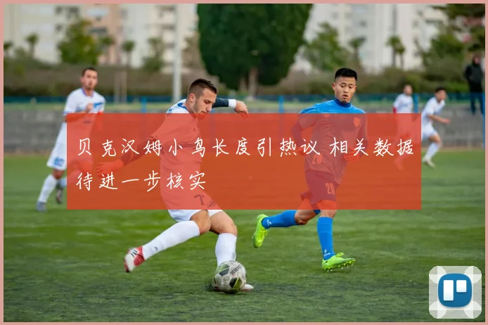 贝克汉姆小鸟长度引热议 相关数据待进一步核实