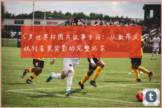 C罗世界杯图片故事专访：从激昂庆祝到落寞背影的完整记录