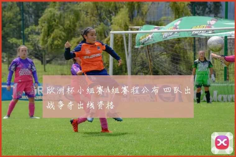 欧洲杯小组赛A组赛程公布 四队出战争夺出线资格