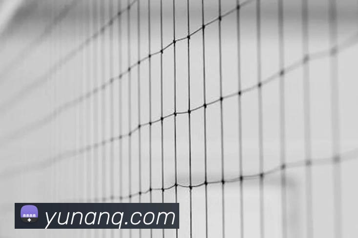 球赛押注app官网APP 体育赛事宣传图